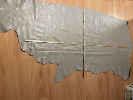Lederhaut