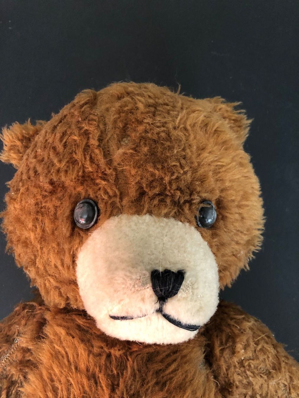 Giocattoli: Teddy ancien – Usato da Vouvry venduto da tintin2308 2