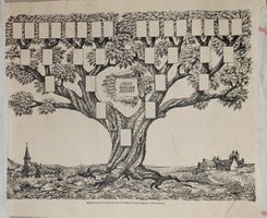 Arbre généalogique ancien à compléter, 66x51cm
