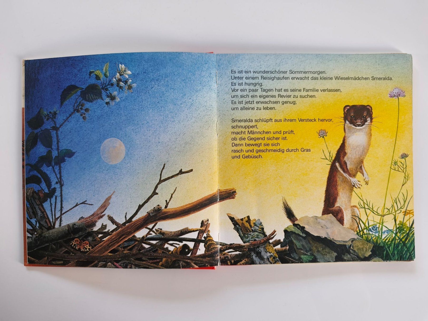 Libri: Bilderbuch: Smeralda – Usato da Lenzburg venduto da Dani_Lenzburg 2