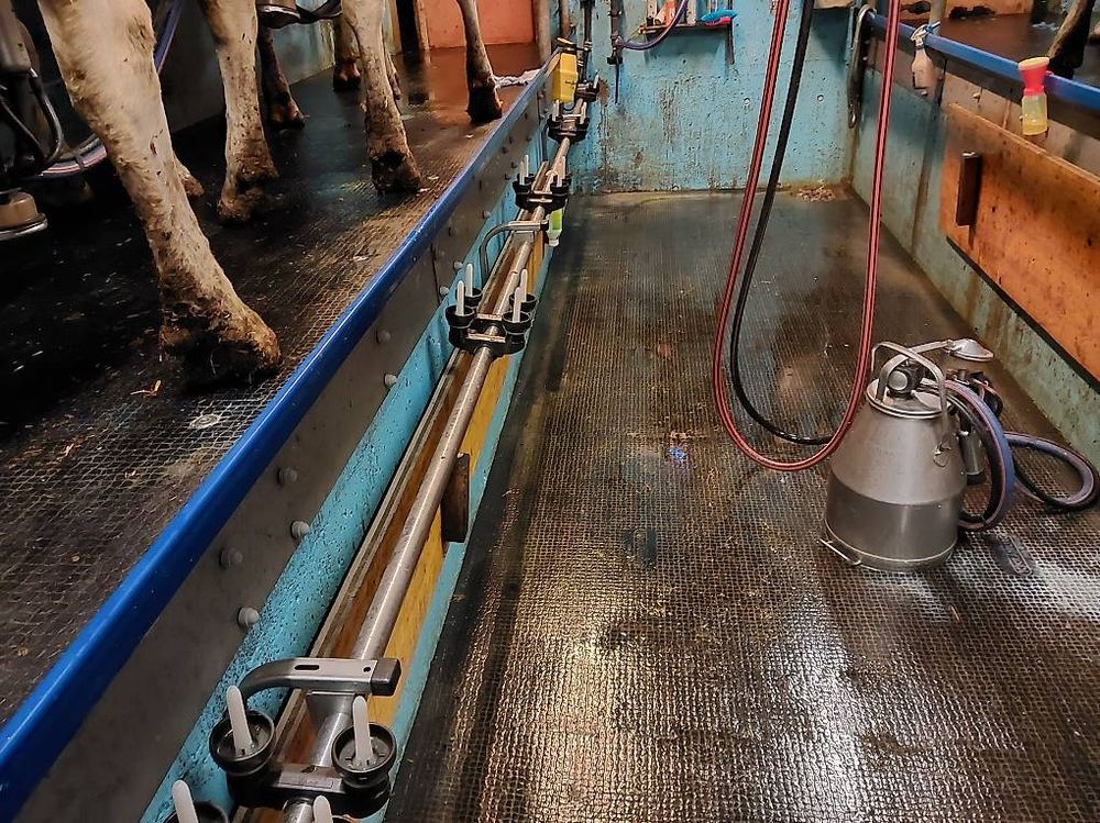 Melkstand de laval inkl. Futterstation evtl. Milchtank 5