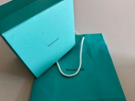 TIFFANY & CO. Turquoise Blue Box (for watchbox?)