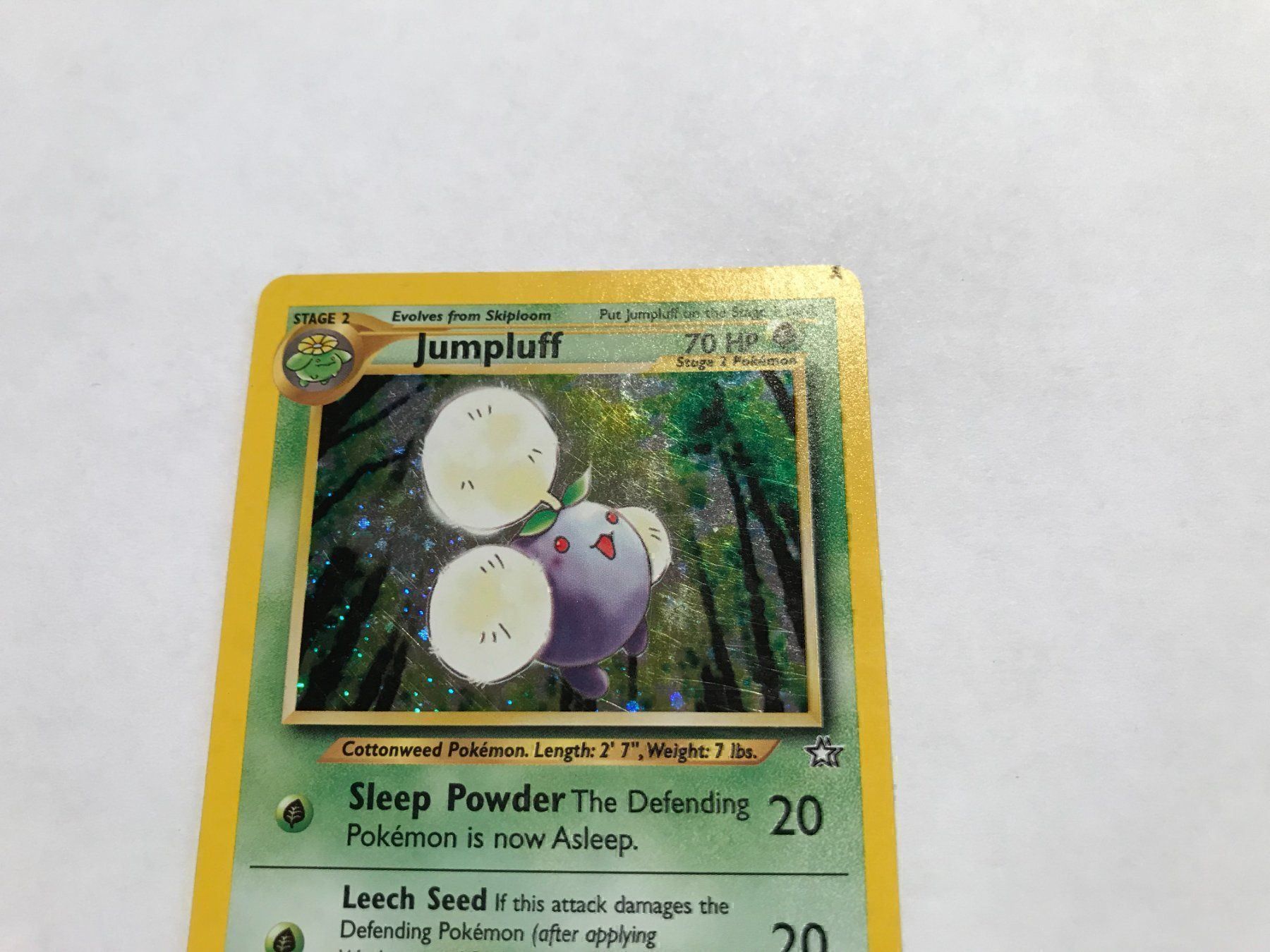 Pokémon Carte collezionabili: Jumpluff holo Neo Genesis – Usato da Hagendorn venduto da Pokecollectorch 1