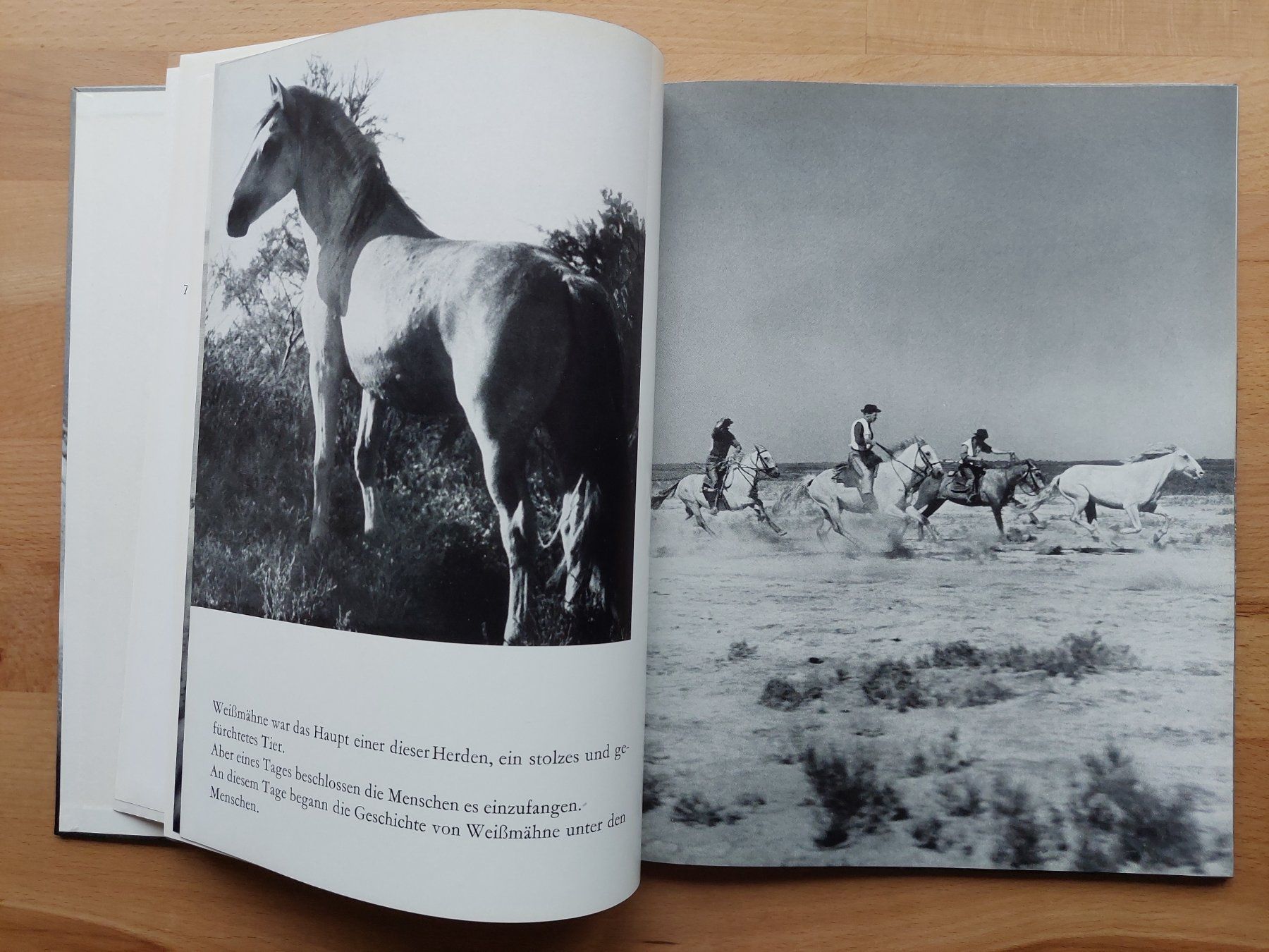 Livres: Der weisse Hengst - Albert Lamorisse – D'occasion à Obfelden par Foto_Bild_Kunst_Buch 4