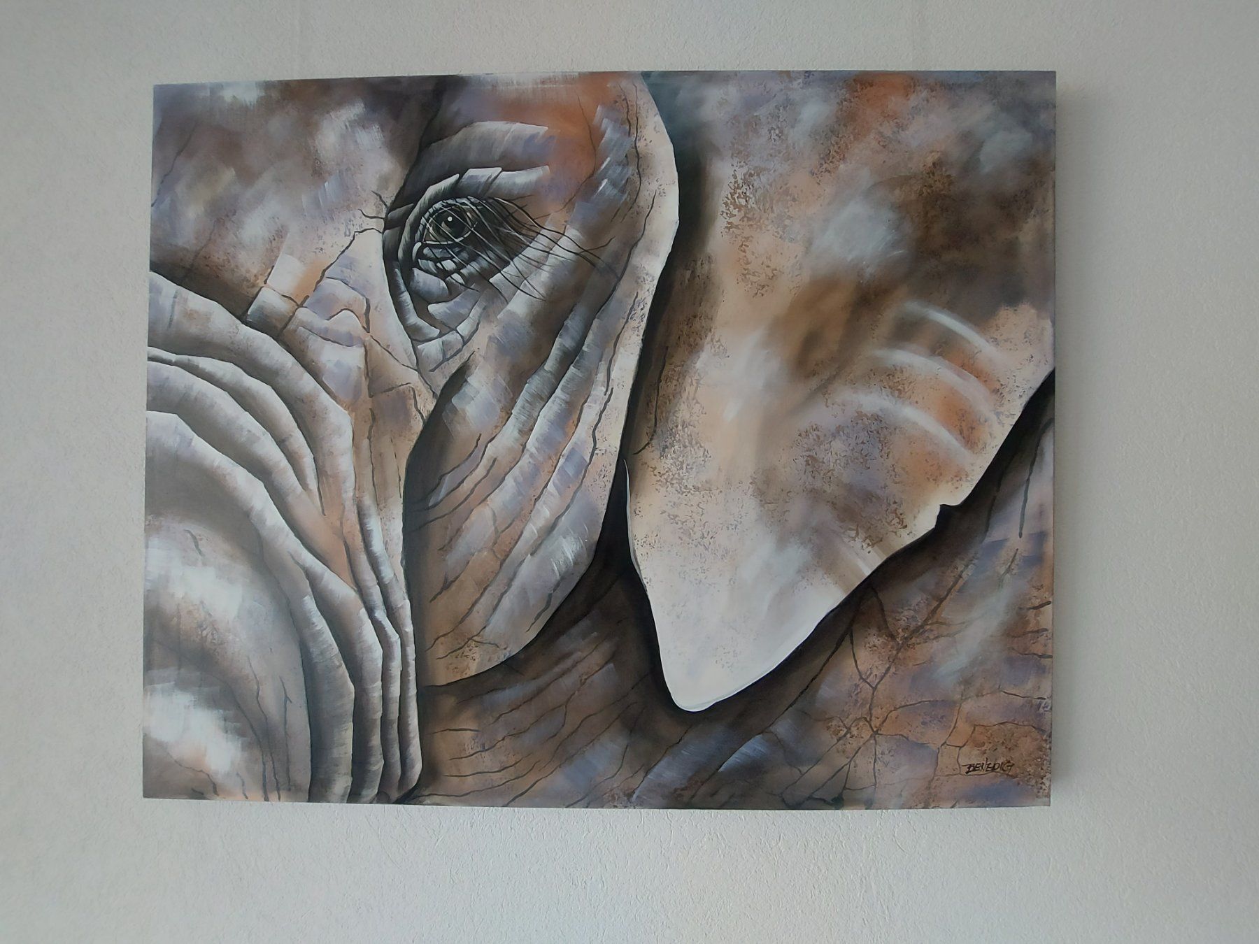 Foto & Immagini: Leinwandbild Elefant – Usato da Bottenwil venduto da Mhcl