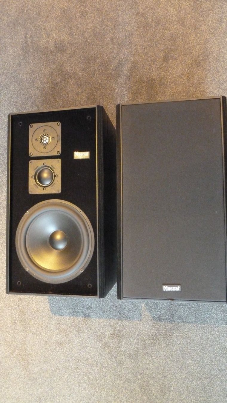 Magnat Casse acustiche: Magnat MSP 170 – Usato da Würenlingen venduto da Schneiderhifi