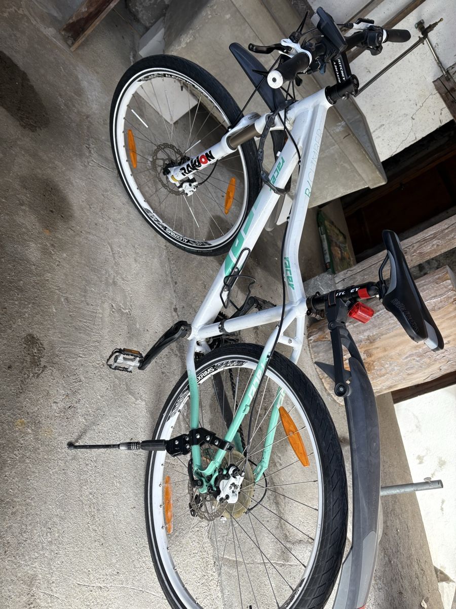Biciclette: Damen Velo Racer 7.0 – Usato da Wilderswil venduto da kim_nbp9