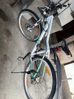 Damen Velo Racer 7.0
