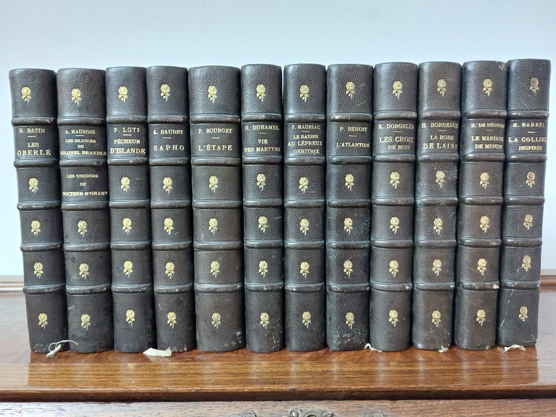 Libri: Les Grand Écrivains - 12 Bände – Usato da Wald ZH venduto da MartialArts