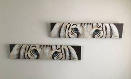Bilder mit Tigeraugen