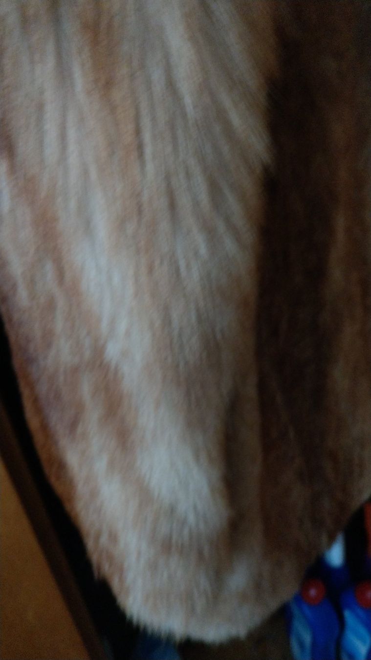 Jacken: Fuchspelz Jacke – Neu (gemäss Beschreibung) aus Unterentfelden von 13_Lukullus 4