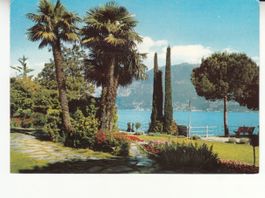 Locarno 1978