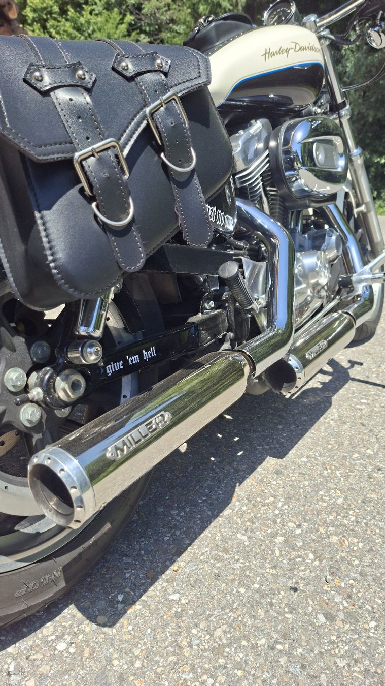 Harley-Davidson Chopper: Harley Davidson  XL 883 L , 2013 , 19Tkm – Gebraucht aus Schliern b. Köniz von sacatudo 6