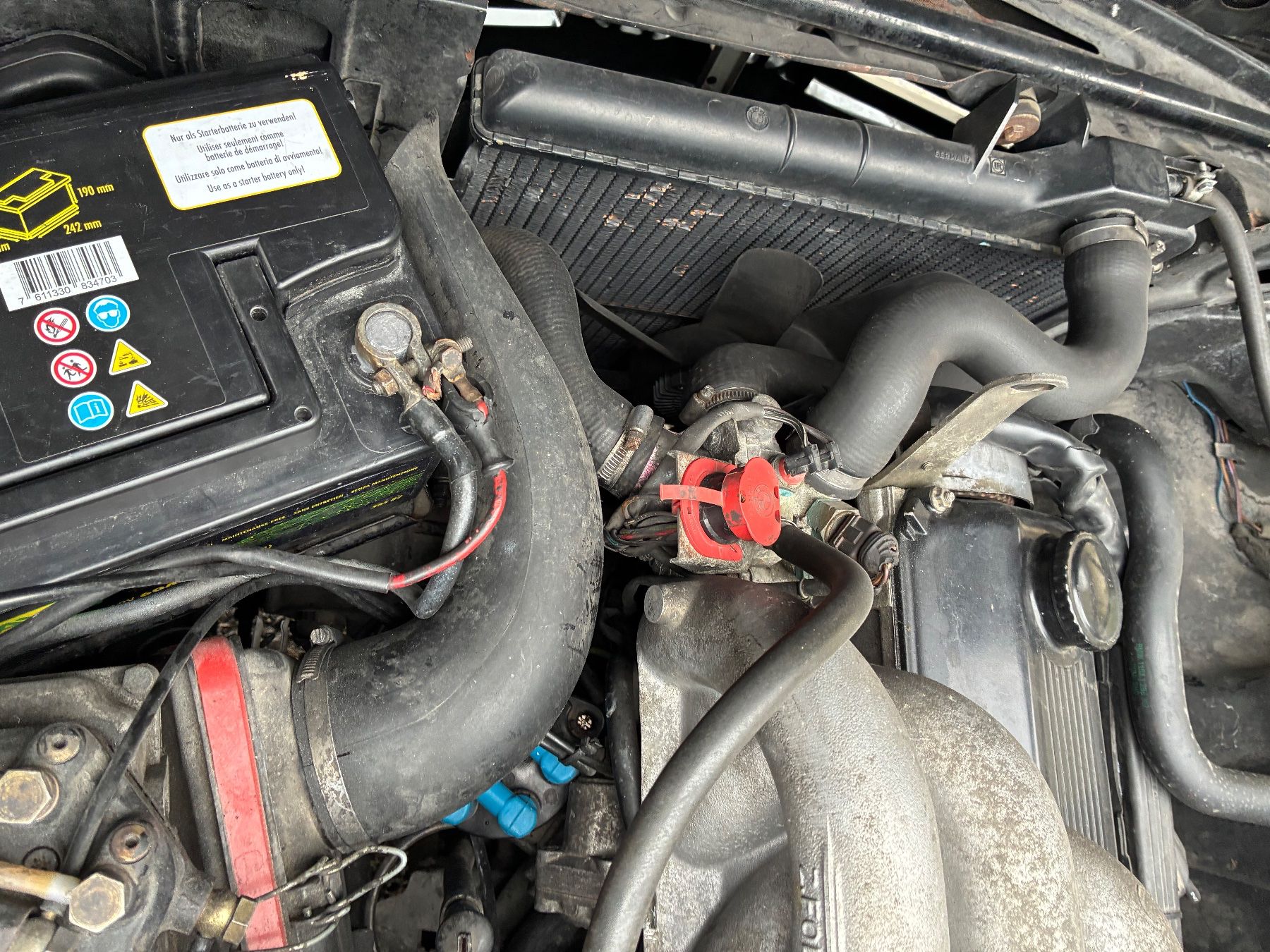 BMW Automobili: E21 323i – Usato da Grenchen venduto da Netii10 4