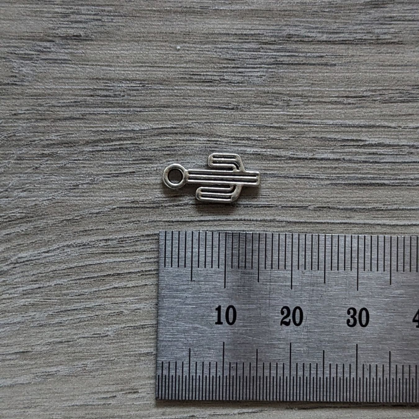 Ciondoli: 20 Charms cactus 🌵 – Nuovo (secondo la descrizione) da Orsieres venduto da ind_cyg6 2