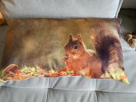 Zierkissen Eichhörnchen/Herbstmotiv, 2 Stk. inkl.Innenkissen