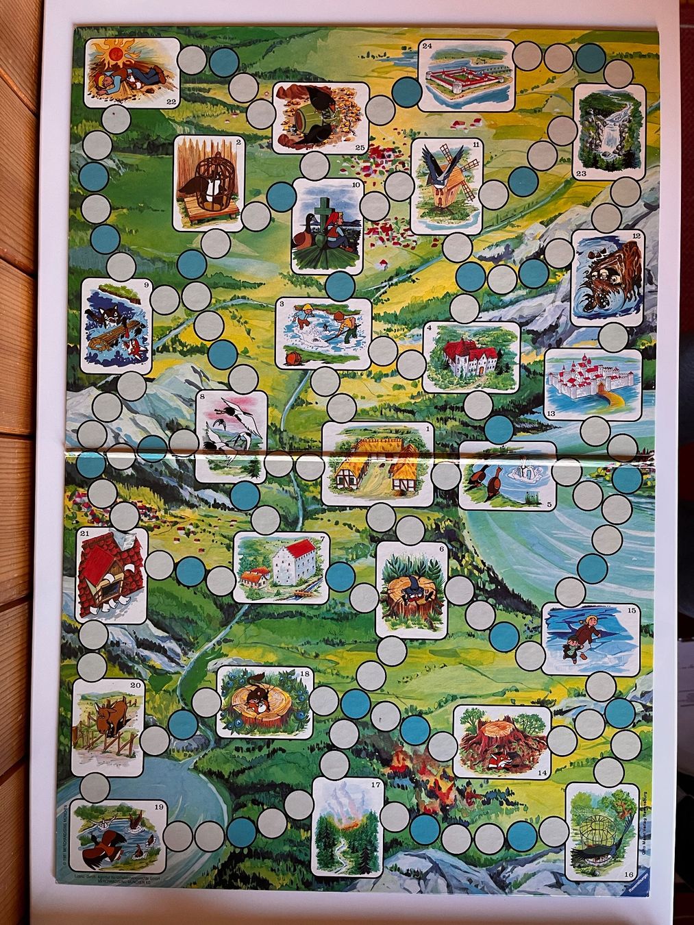 Ravensburger Giochi: Brettspiel - Nils Holgersons wunderbare Reise – Usato da Saanen venduto da Tricha02 2