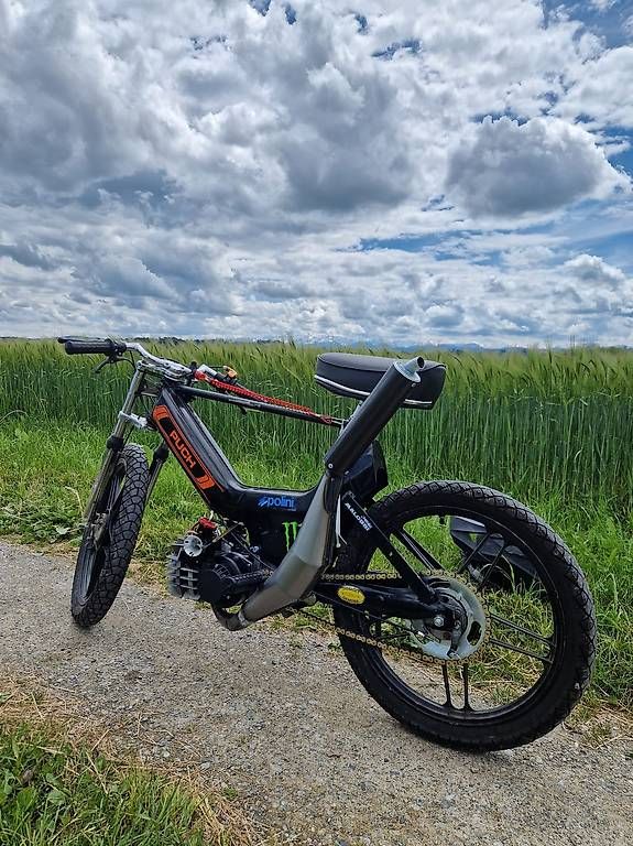 Puch Mofas: Puch Maxi N Rennmofa – Gebraucht aus Sulgen von dadole