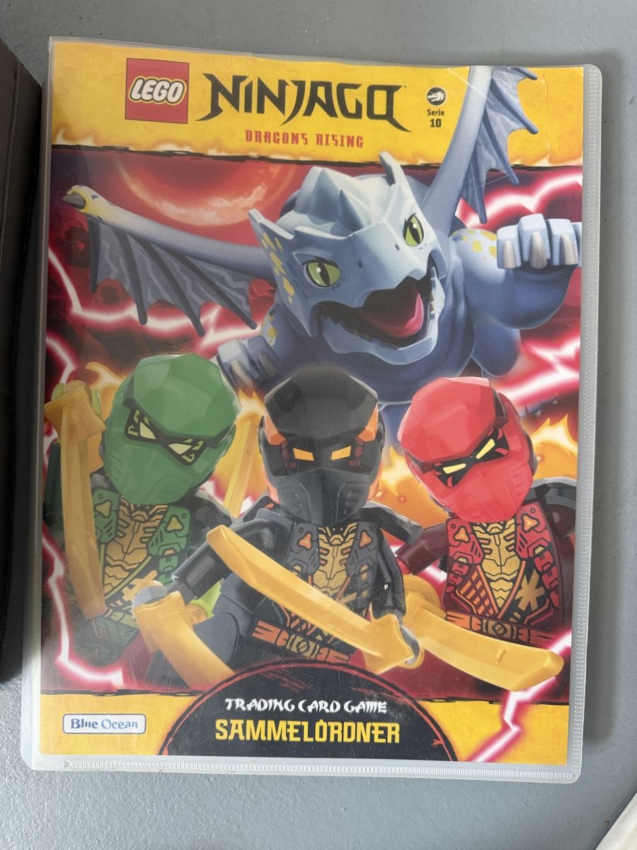 Carte collezionabili: LEGO Ninjago Dragons Rising Sammelkarten – Nuovo (secondo la descrizione) da Hittnau venduto da monroe02 2