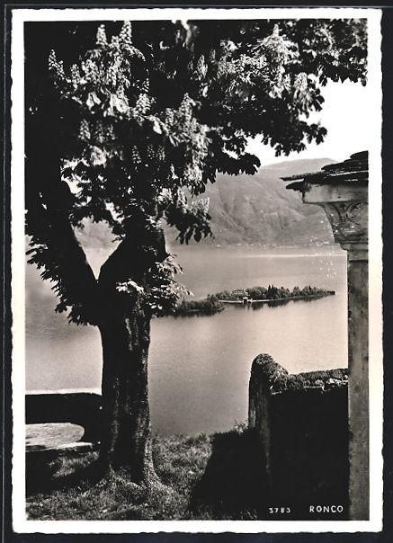 Cartes postales: AK Ronco, Durchblick zu einer Insel – D'occasion à Berlin par bartko-reher