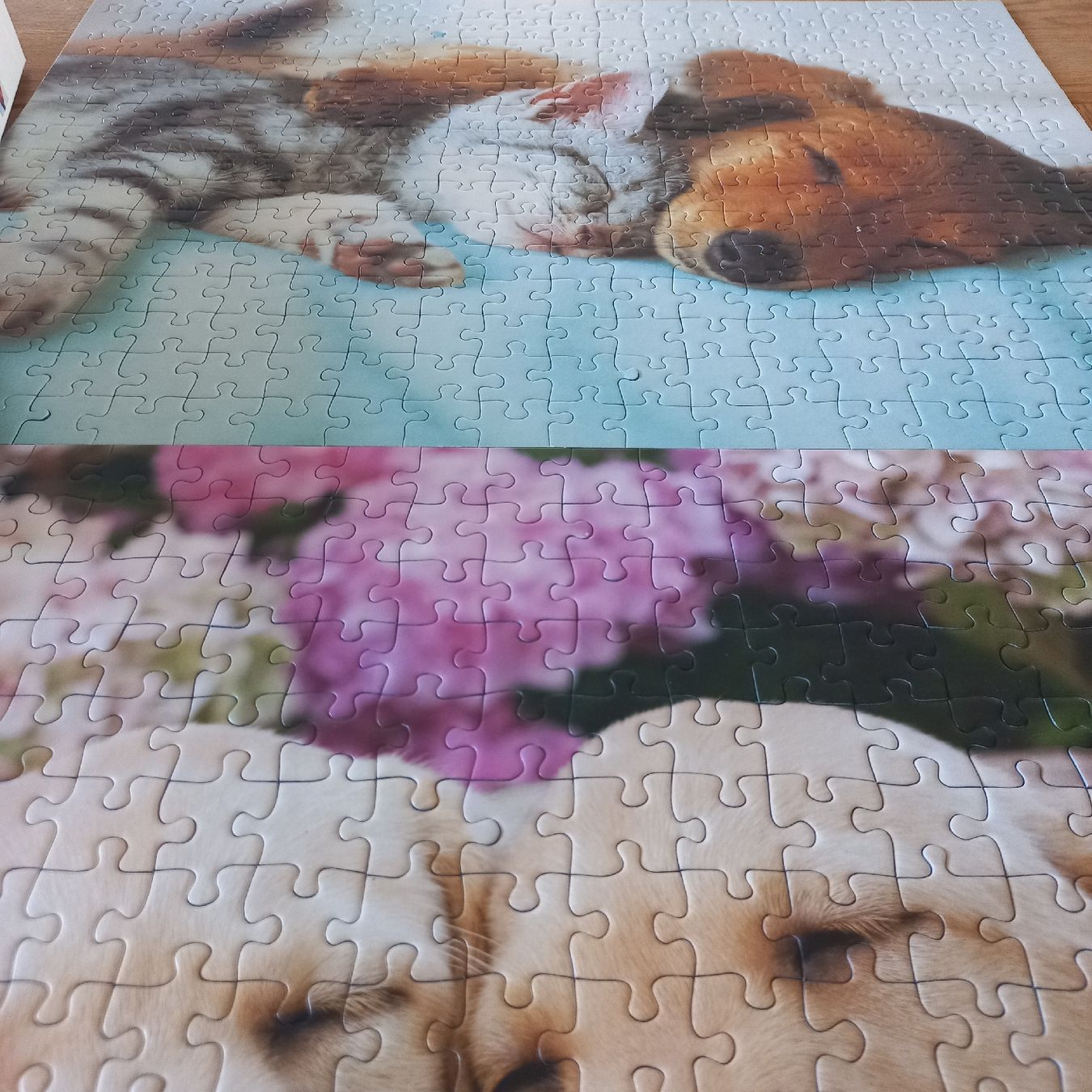 Ravensburger Puzzle: Puzzle Ravensburger 2× 300 pièces  – Nuovo (secondo la descrizione) da Dompierre FR venduto da fat_xth5 8
