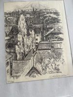 Lithographie Otto Braschler Chur Planaterra 25/95 im Rahmen