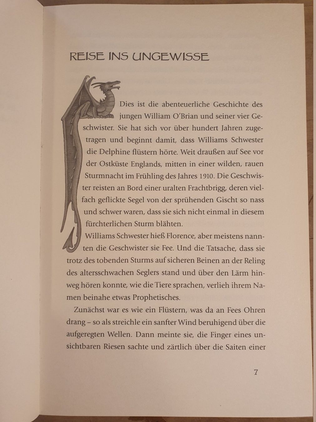 Libri: Der Drache hinter dem Spiegel Ivo Pala Sauerländer – Usato da Zürich venduto da loosebone 2