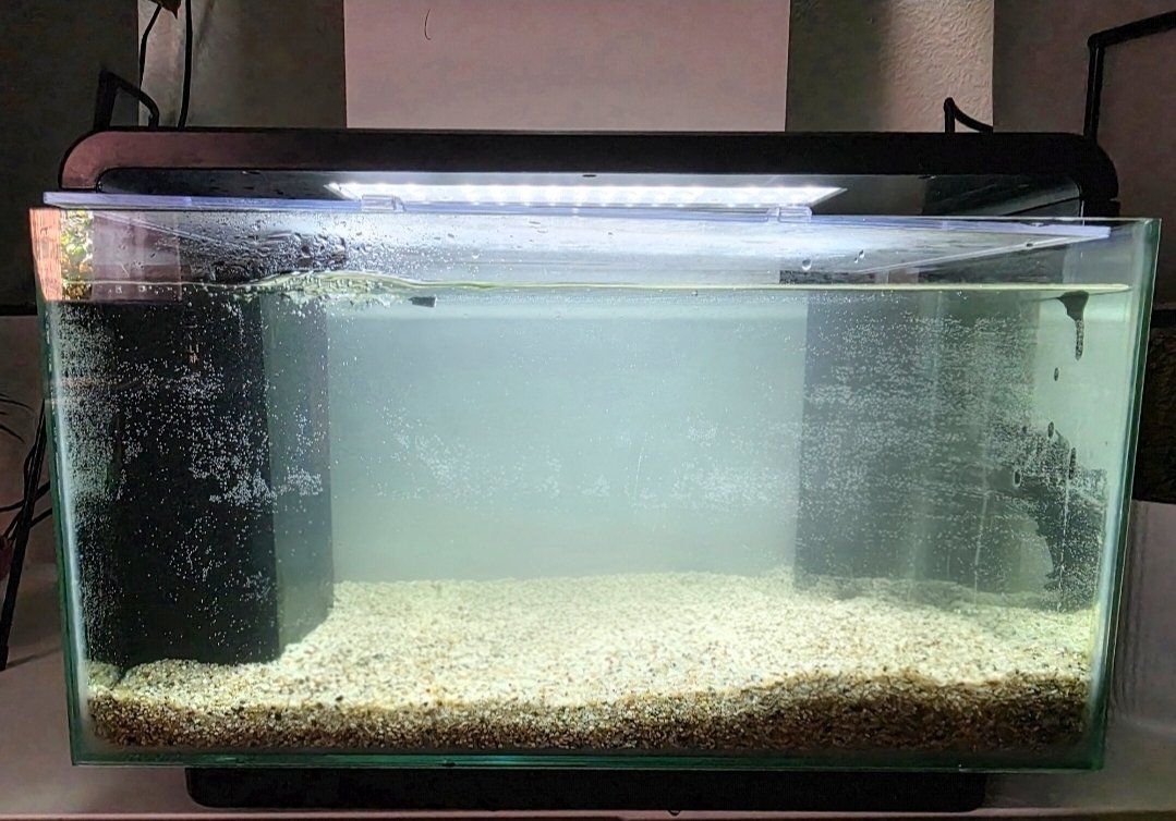 Amazonas Aquarium: 25L Amazonas Aquarium 4 Monate alt – Gebraucht aus Ebikon von Automaus 1