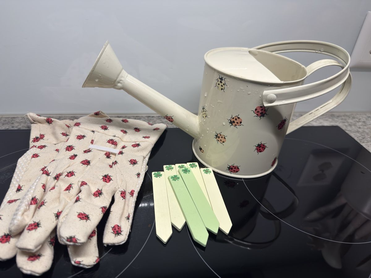Box contenitori: Garten Set 🐞 – Nuovo (secondo la descrizione) da Sins venduto da sum_lv6d