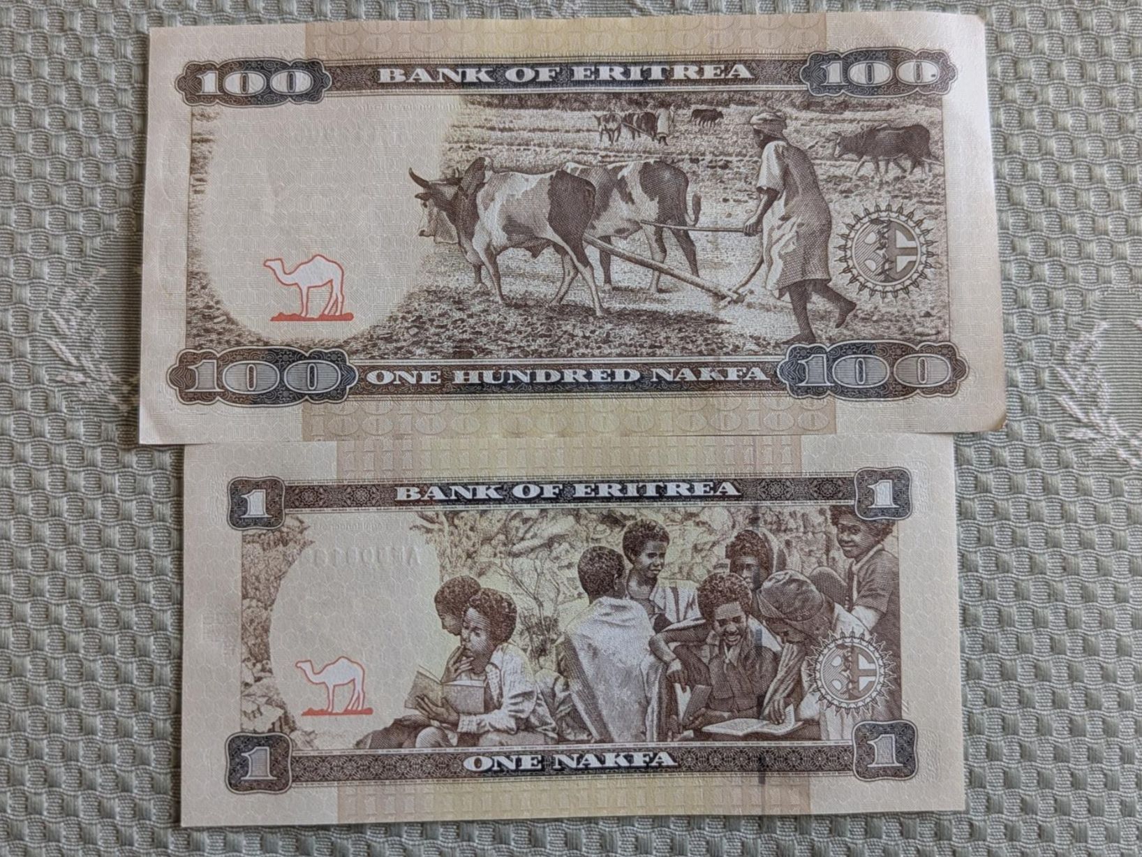Banconote: Eritrea banknotes ,delivery mi September – Usato da Porrentruy venduto da jmbechir 1