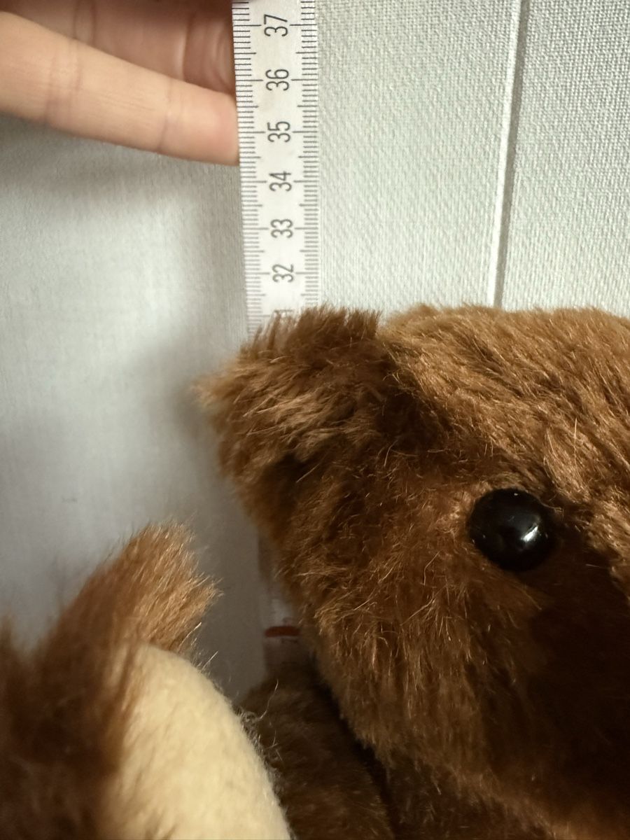 Steiff Giocattoli: Teddybär von Steiff – Nuovo e nell'imballaggio originale da Mumpf venduto da A_B_E 7