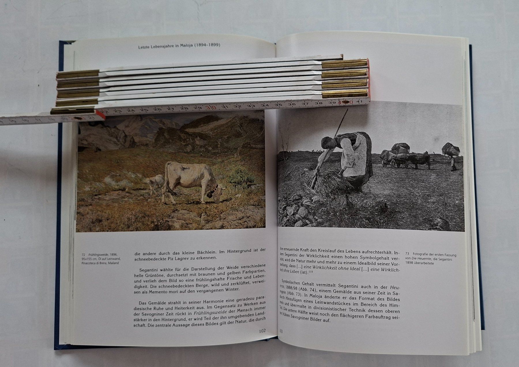 Livres: Segantini: Ein Leben in Bildern - Kunstbuch Schweiz – D'occasion à Opfikon par Diversamente 6
