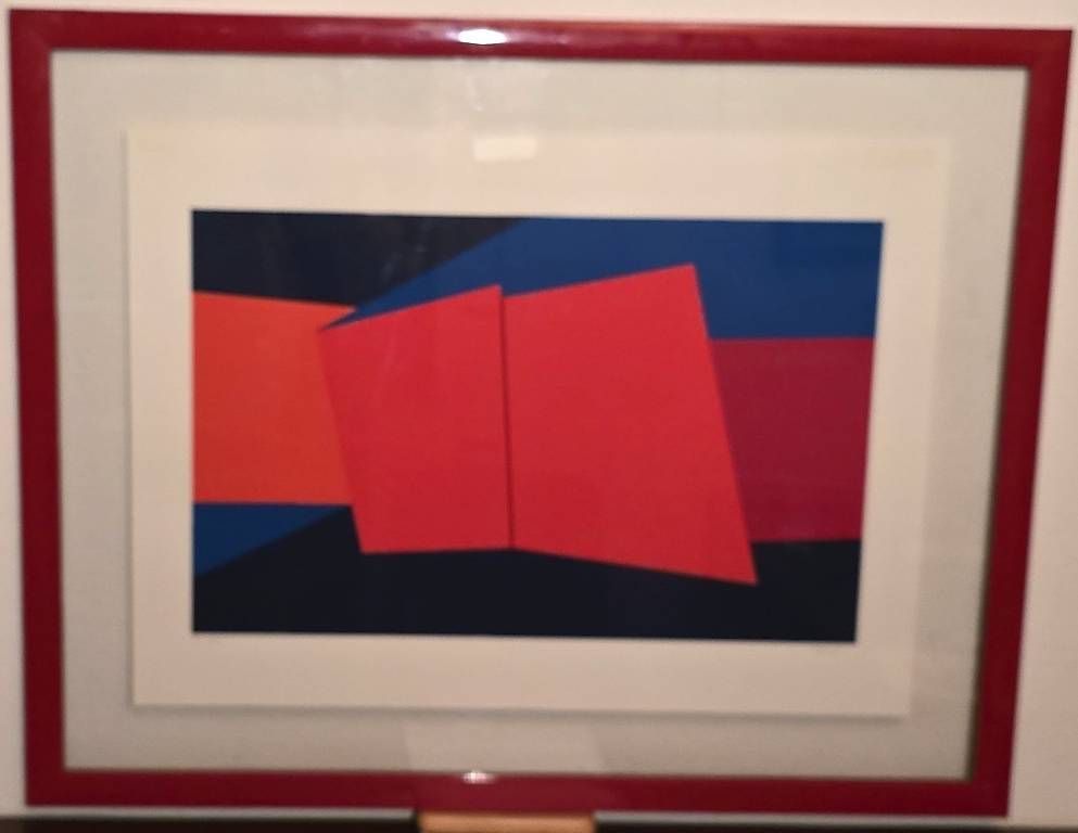 Grafica & Litografie: Lithos encadrées de Geneviève Claisse – Usato da Confignon venduto da morisbtz 2