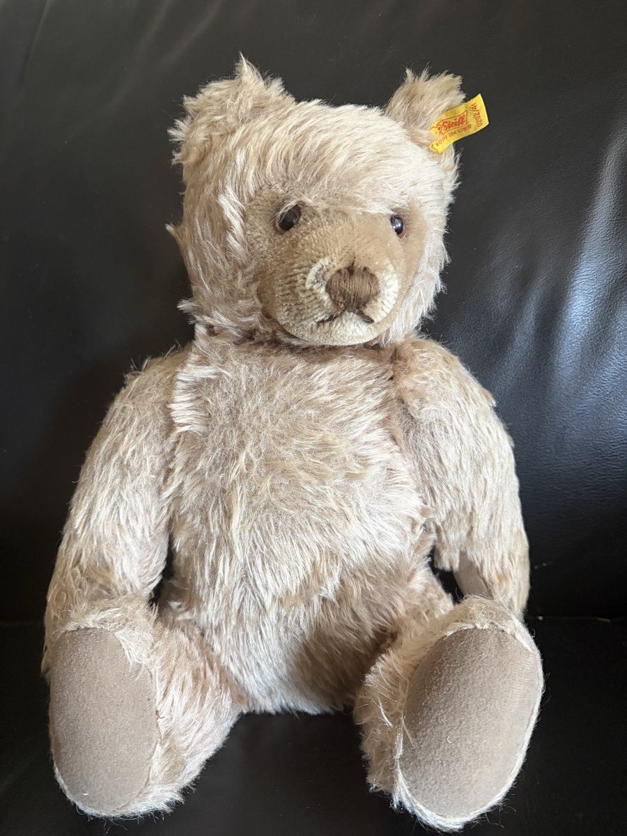 Steiff Giocattoli: Älterer Steiff Teddy  – Usato da Hochfelden venduto da larson27 3
