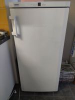 LIEBHEER TIEFKÜHLSCHRANK GN1923 NO FROST