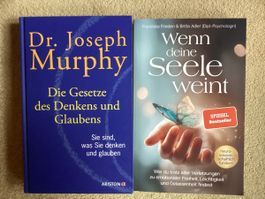 2 Bücher die Gesetze des Denkens und Glaubens Wenn die Seele