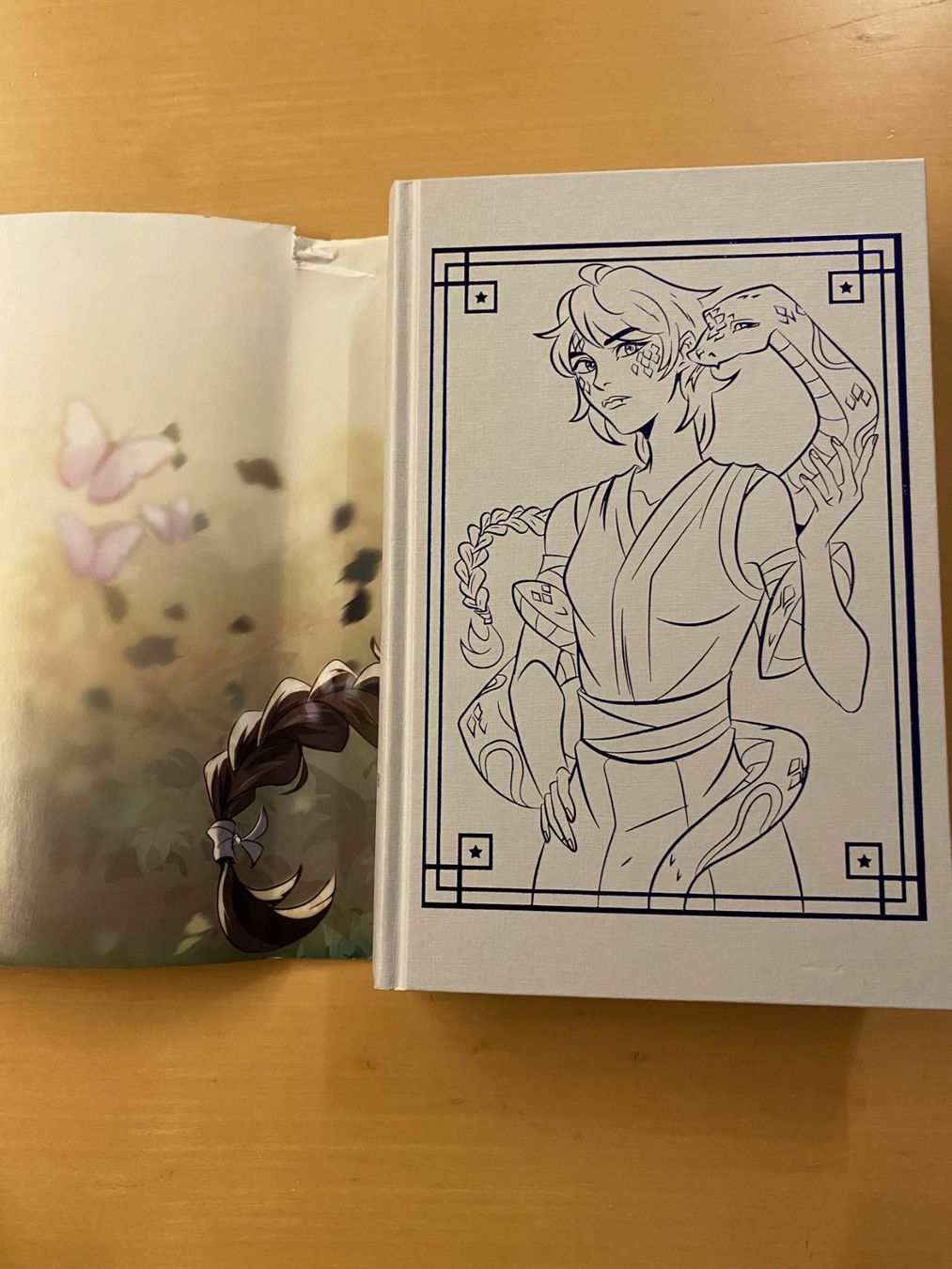 Libri: Her Radiant Curse - Fairyloot exclusive – Usato da Winznau venduto da sadamu 4