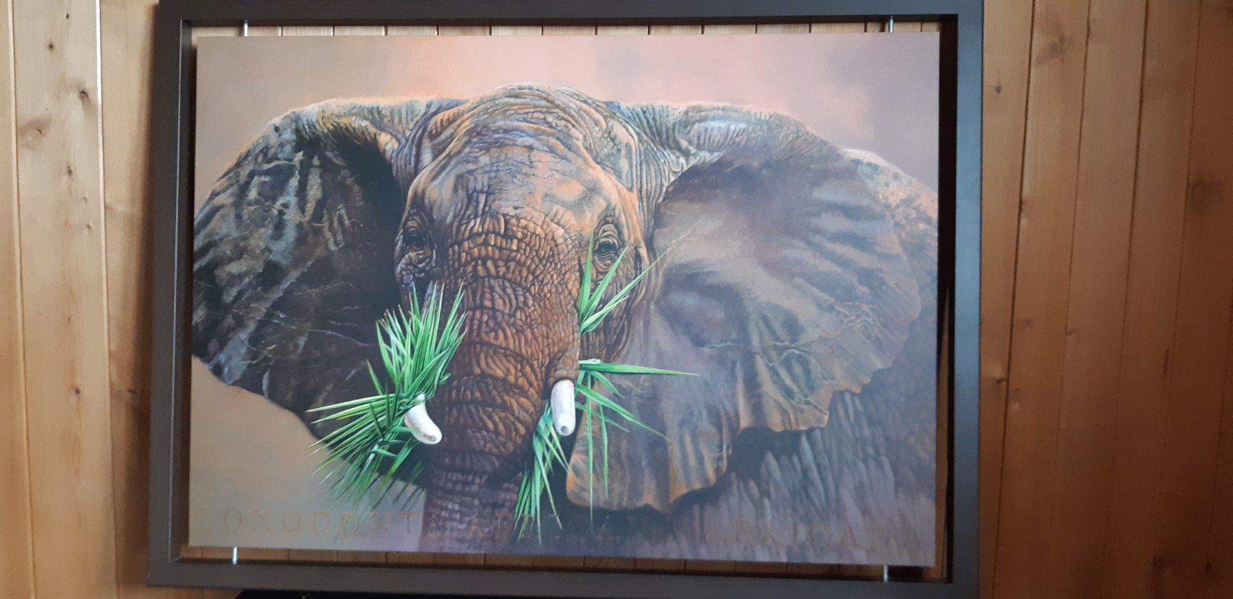 Foto & Immagini: Bild mit Elefant – Usato da Rüedisbach venduto da Cajamarca 1