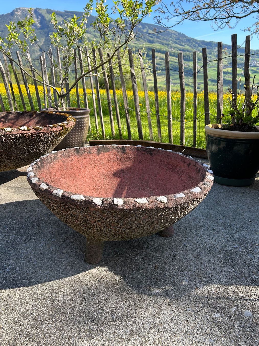 Vasi per fiori: Pflanzenschale / -topf Waschbeton – Usato da Goldau venduto da Taburettli_Brocante
