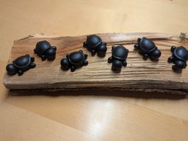 Schildkröten zum selber bemalen