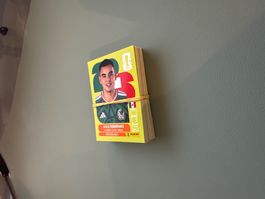 55 Panini Bilder gemischt, keine Doppelten