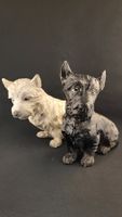 Scotch-Terrier Black and White