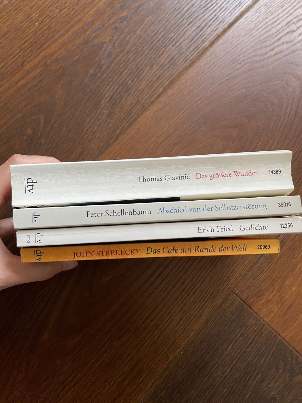 Libri: dtv Bücher: John Strelecky, Erich Fried, Thomas Glavinic etc – Usato da Winterthur venduto da ttltc 2