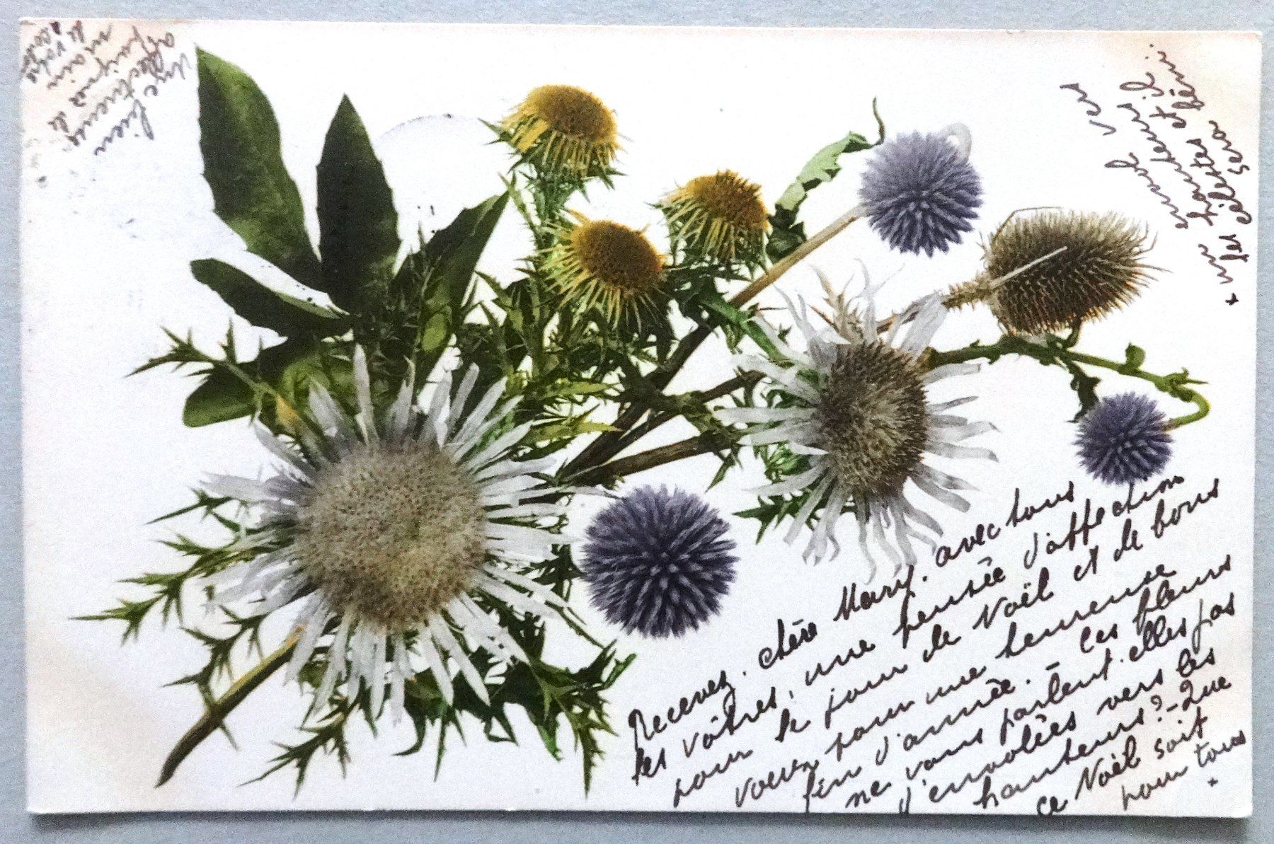 Cartes postales: Chardons – Défectueux à Fétigny par Billy2miny