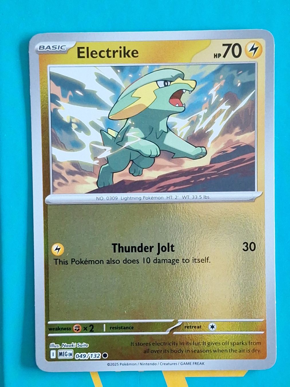 Pokémon Carte collezionabili: Electrike - Reverse Holo Pokemon Mega Evolution #1.8 – Usato da Altstätten SG venduto da GGsGameshop