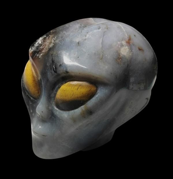 Mineralien & Heilsteine: Alien Skull Black Agate – Neu (gemäss Beschreibung) aus Walenstadt von vkt_qc8d