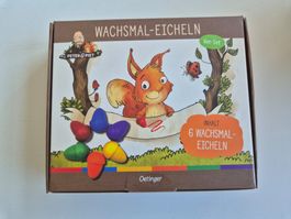 Wachsmal-Eicheln, Wachsmalstifte Peter&Piet 6-er Set