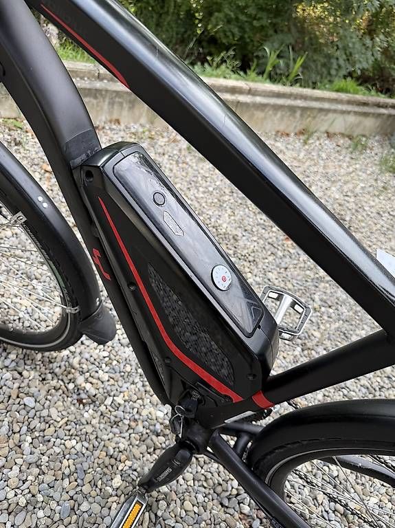 Velos: Flyer Vollblut 500 / 45km/h / Grösse L – Gebraucht aus Hallwil von Calimerito0969 1