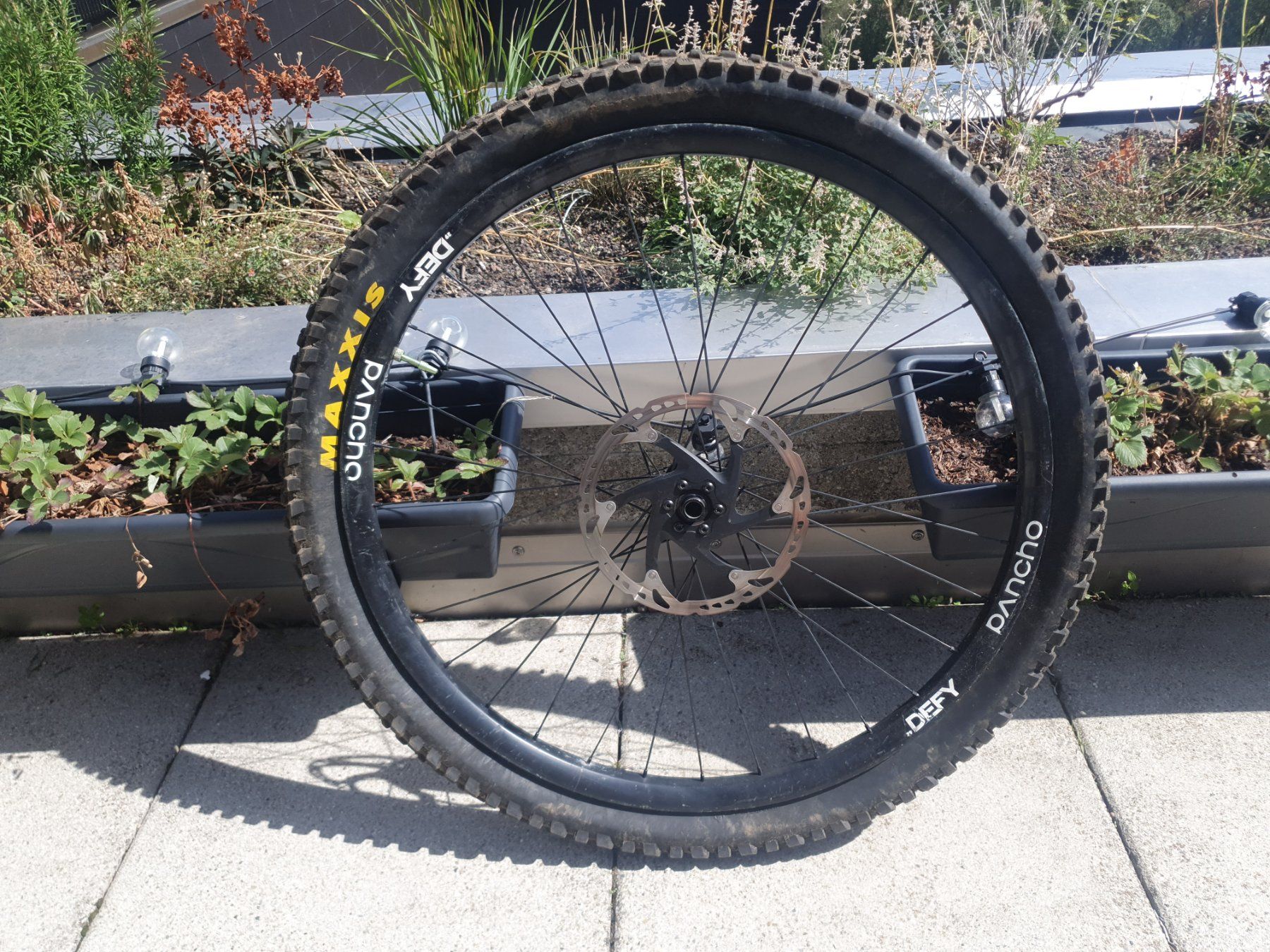Pneus & Kompletträder: Roue avant Defy Pancho – Gebraucht aus Magglingen/Macolin von Zwo2 1
