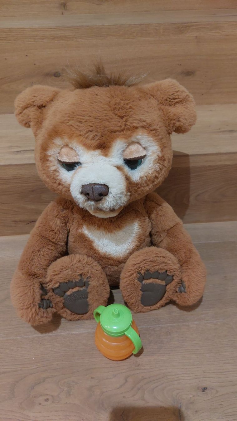 FurReal Jouets: FurReal Bär – D'occasion à Adlikon par NoeliaMina 1